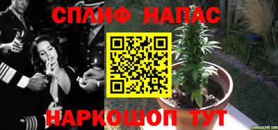 шишки Бузулук