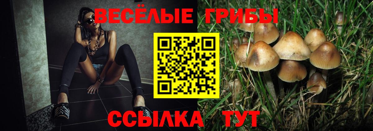 магазин    Вход с VPN  Волоколамск  Галлюциногенные грибы Psilocybe 